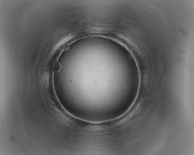 X0000115481402200911061208