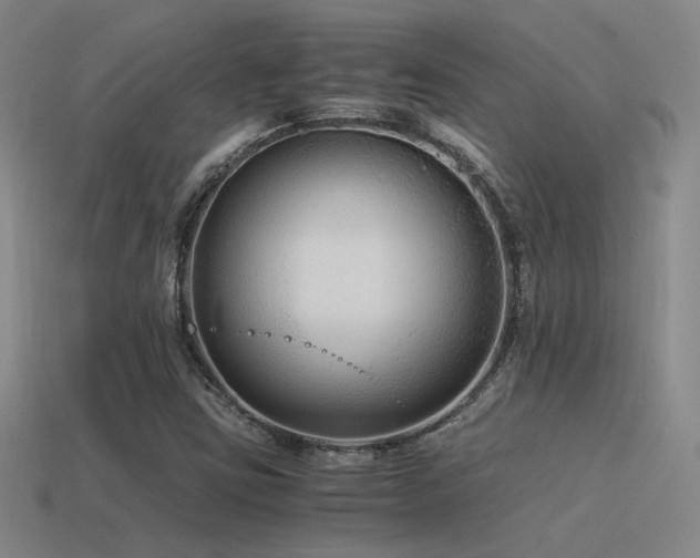 X0000115481403200911061208