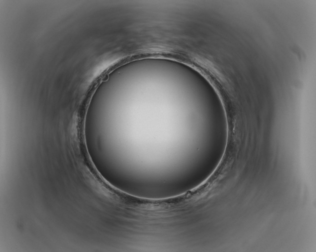 X0000115481404200911061208