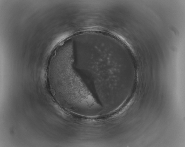 X0000115481405200911061208