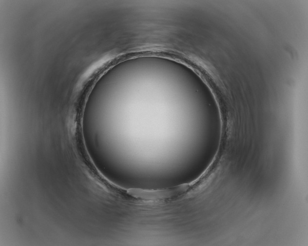 X0000115481406200911061208
