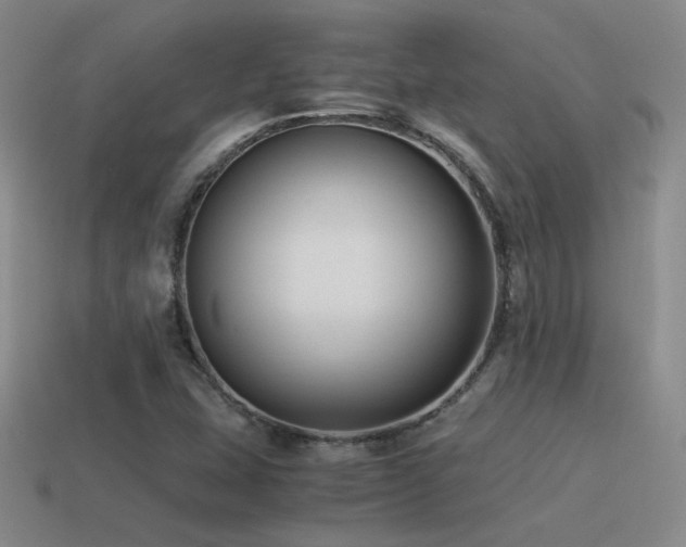 X0000115481407200911061208