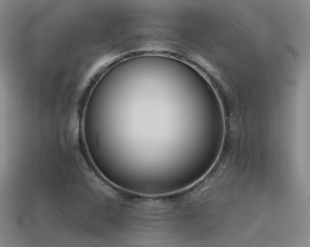 X0000115481408200911061208