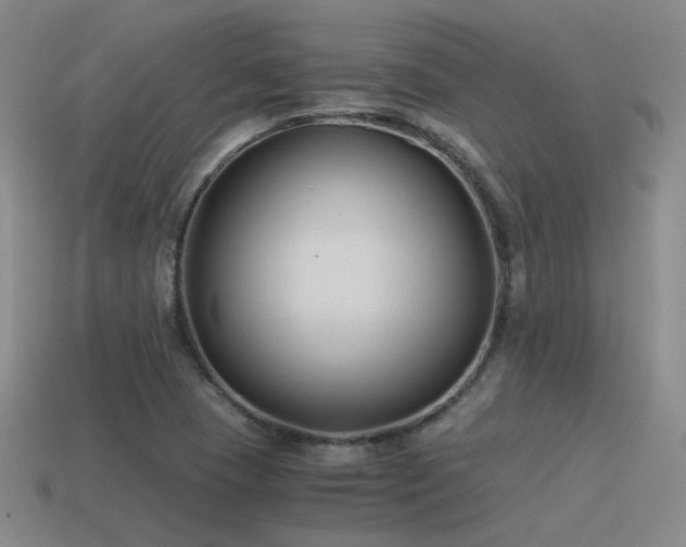 X0000115481409200911061208