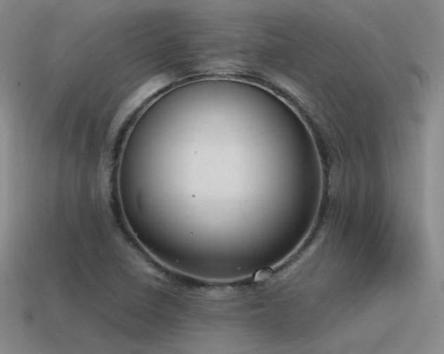 X0000115481410200911061208