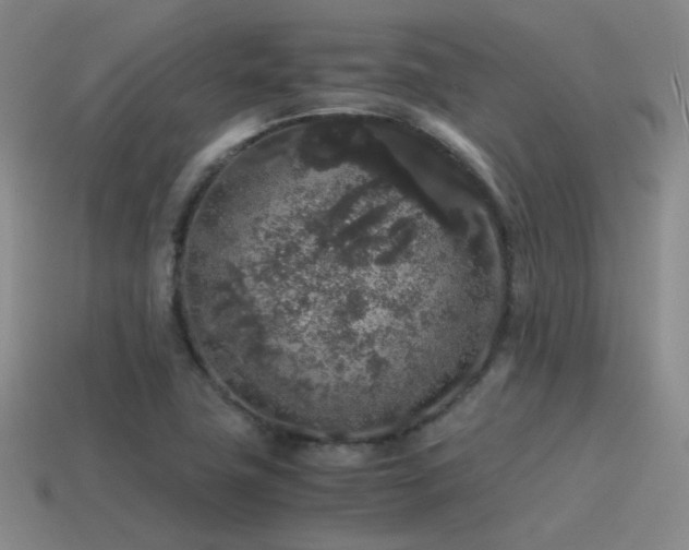 X0000115481411200911061208