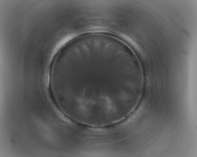 X0000115481413200911061208