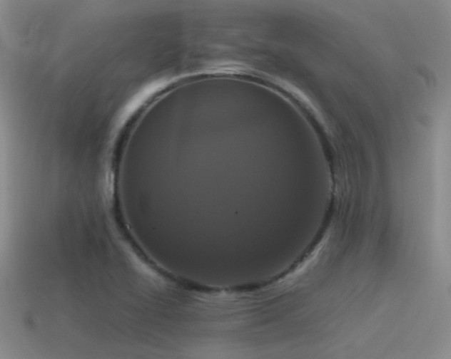 X0000115481414200911061208