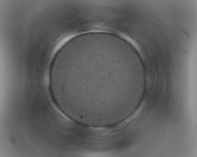 X0000115481415200911061208