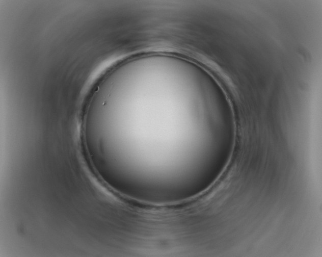 X0000115481416200911061208
