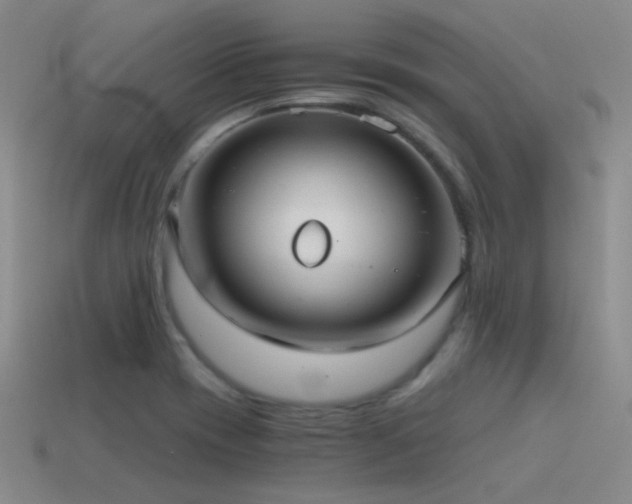 X0000115481417200911061208