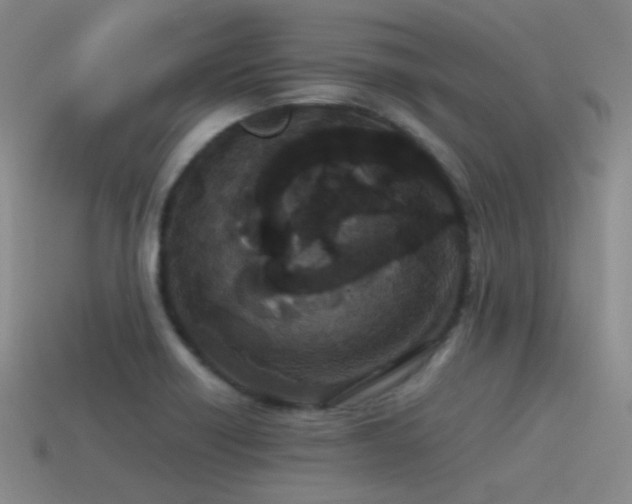 X0000115481418200911061208