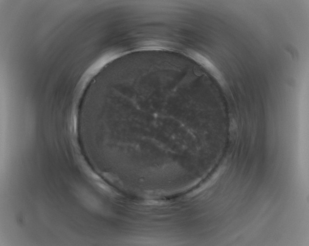 X0000115481419200911061208