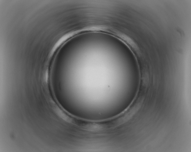 X0000115481420200911061208