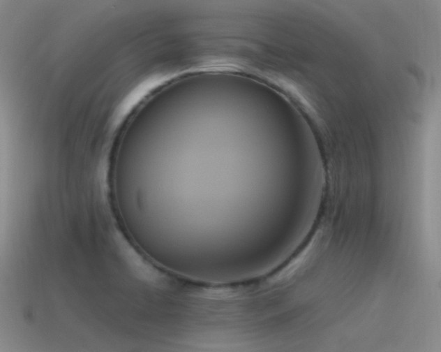 X0000115481422200911061208