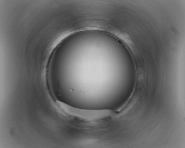 X0000115481423200911061208