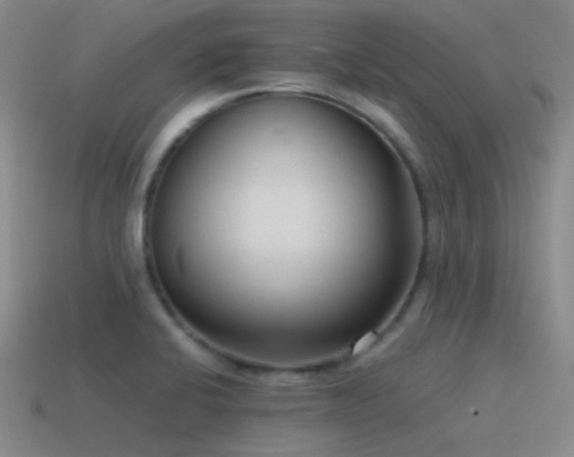 X0000115481424200911061208