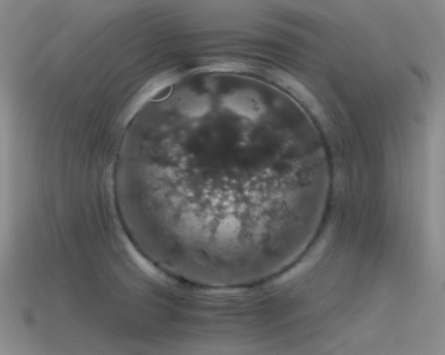 X0000115481425200911061208