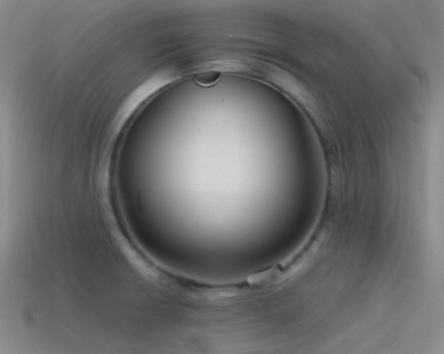 X0000115481426200911061208