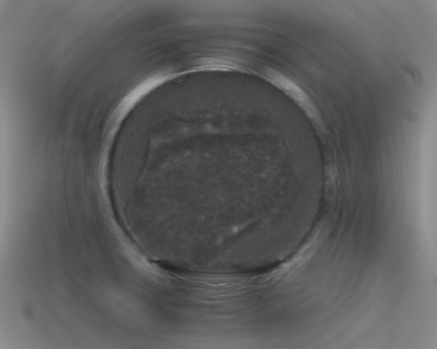 X0000115481427200911061208