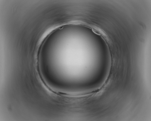 X0000115481430200911061208