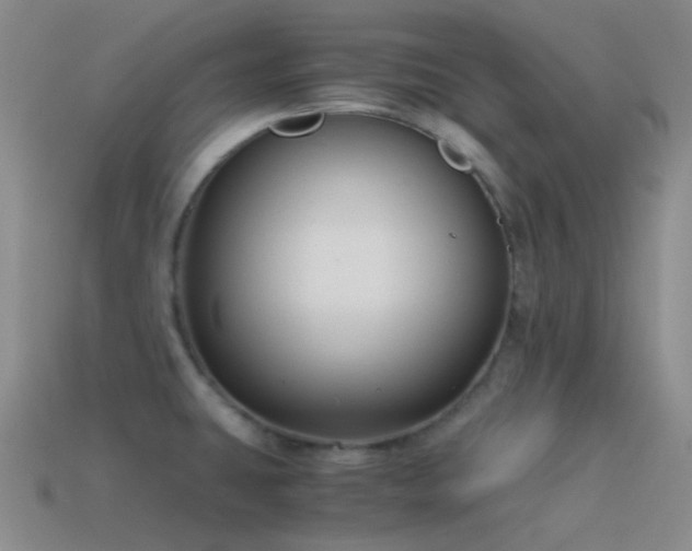 X0000115481431200911061208