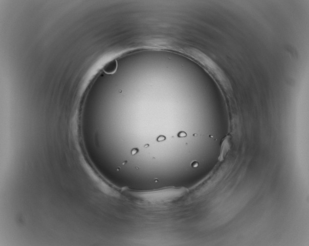 X0000115481432200911061208