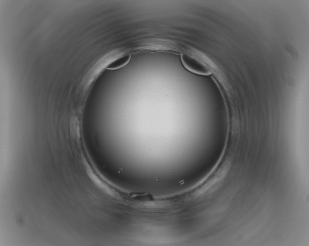 X0000115481433200911061208