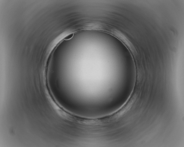 X0000115481434200911061208