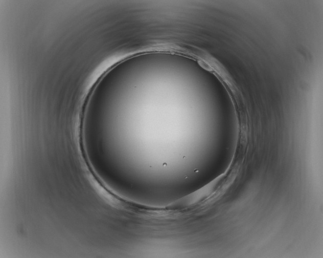 X0000115481438200911061209