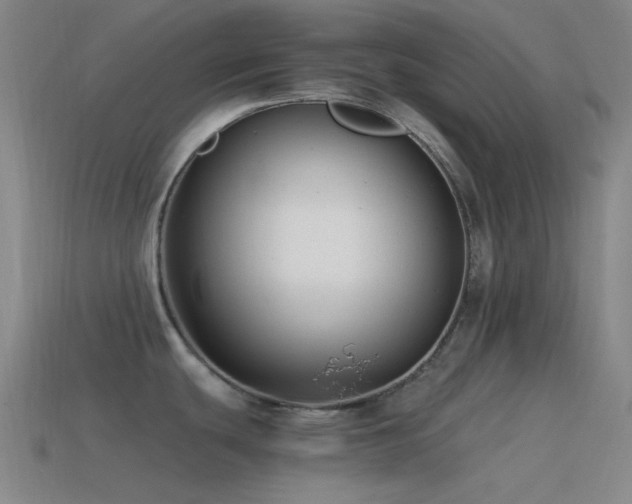 X0000115481439200911061209