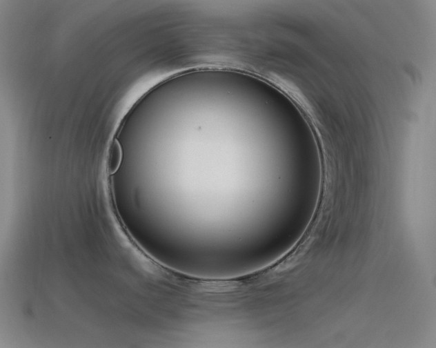 X0000115481440200911061209