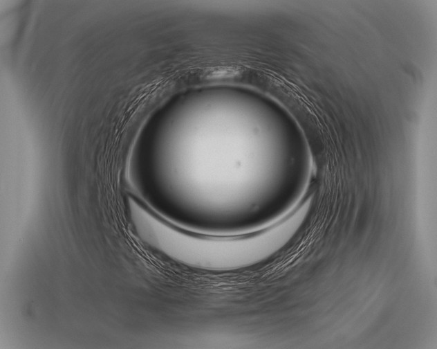 X0000115481441200911061208
