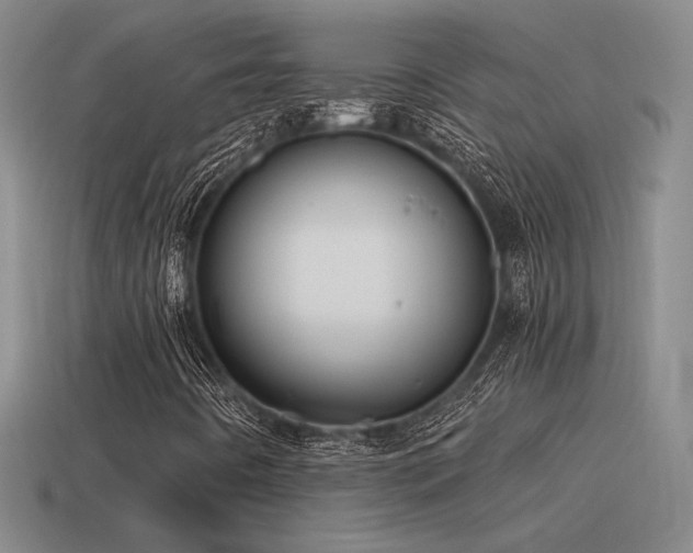 X0000115481442200911061208