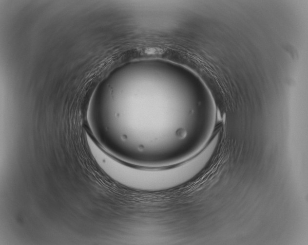 X0000115481443200911061208