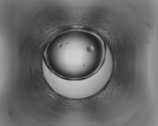 X0000115481444200911061208