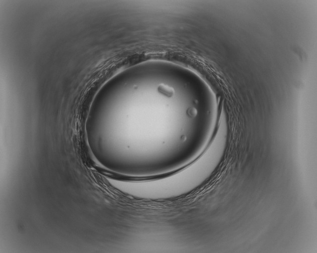 X0000115481445200911061208