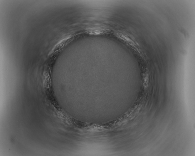 X0000115481446200911061208