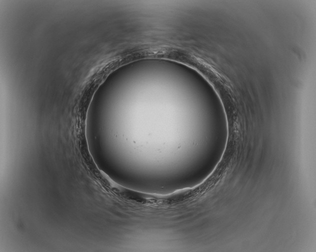 X0000115481447200911061208