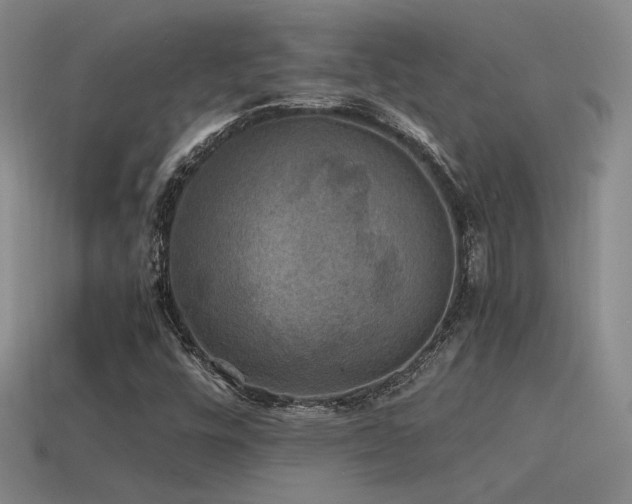 X0000115481448200911061208