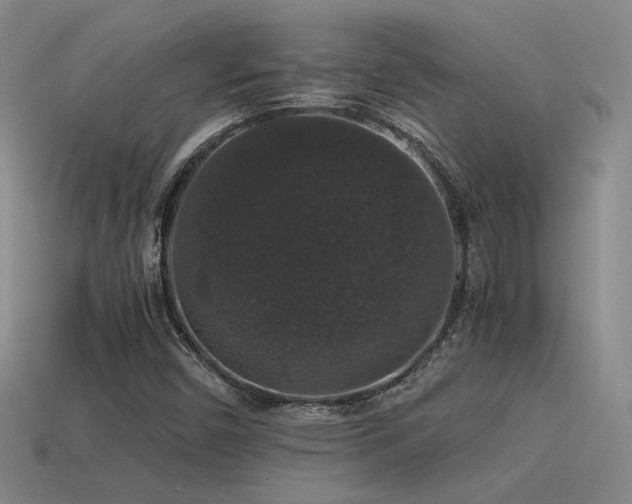 X0000115481450200911061208
