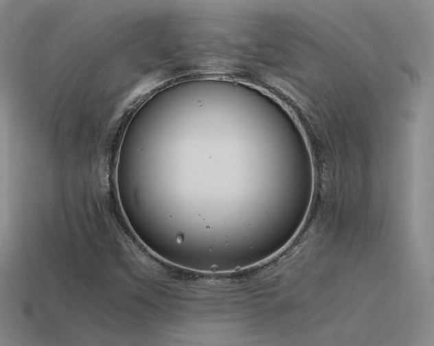 X0000115481451200911061208
