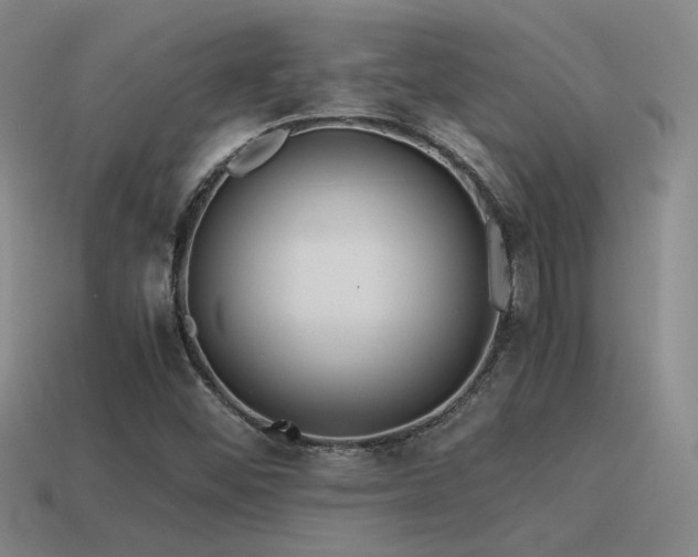 X0000115481452200911061208