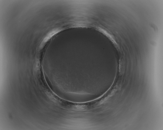 X0000115481453200911061208