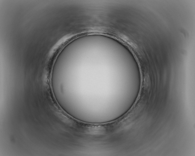 X0000115481454200911061208