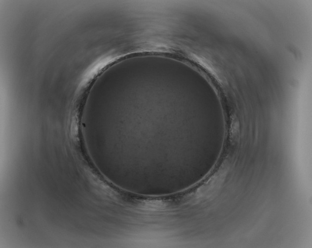 X0000115481455200911061208