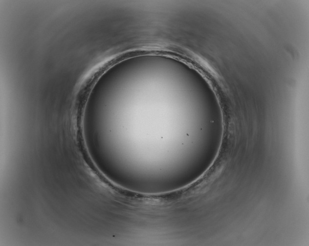 X0000115481456200911061208