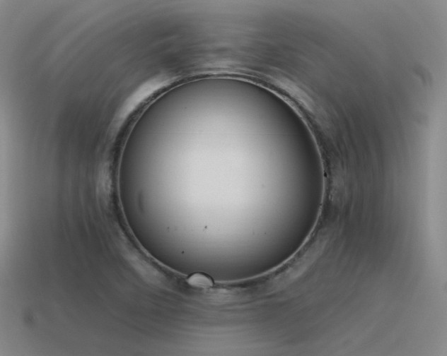 X0000115481458200911061208
