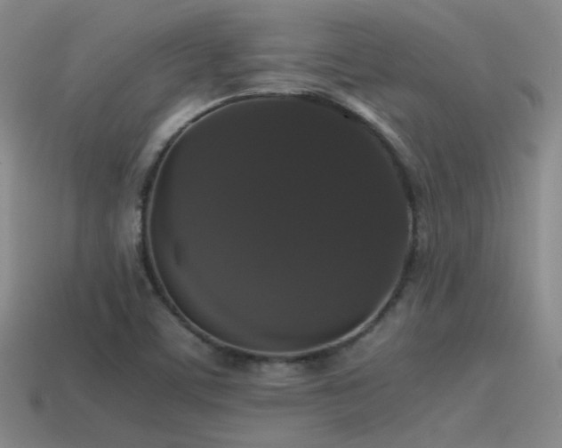X0000115481459200911061208