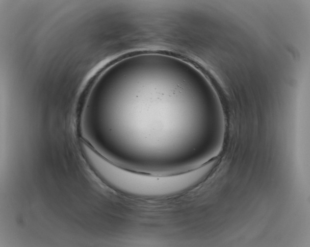 X0000115481460200911061208